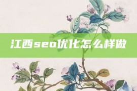 江西seo优化怎么样做