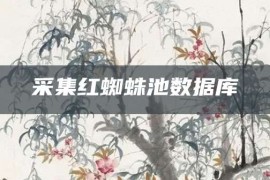 采集红蜘蛛池数据库