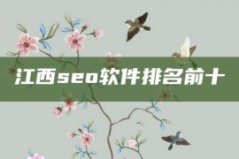 江西seo软件排名前十