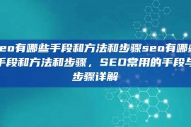 seo有哪些手段和方法和步骤seo有哪些手段和方法和步骤，SEO常用的手段与步骤详解