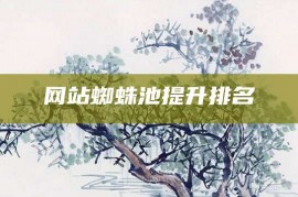 网站蜘蛛池提升排名