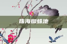 珠海蜘蛛池