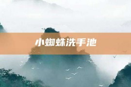 小蜘蛛洗手池