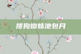 搜狗蜘蛛池包月