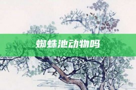 蜘蛛池动物吗