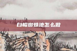 白帽蜘蛛池怎么做