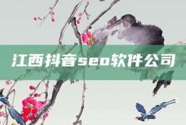 江西抖音seo软件公司