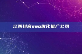 江西抖音seo优化推广公司