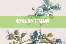 蜘蛛池干嘛的