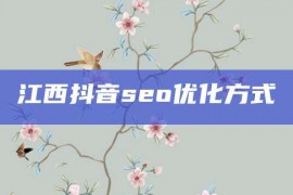 江西抖音seo优化方式