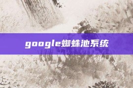 google蜘蛛池系统