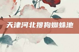 天津河北搜狗蜘蛛池