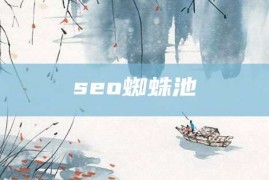 seo蜘蛛池