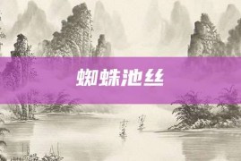 蜘蛛池丝