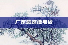 广东蜘蛛池电话