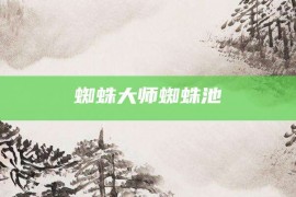 蜘蛛大师蜘蛛池