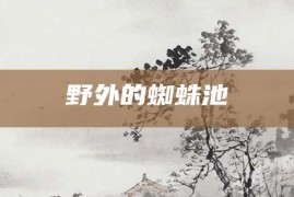 野外的蜘蛛池