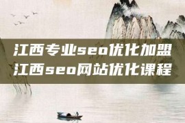 江西专业seo优化加盟江西seo网站优化课程