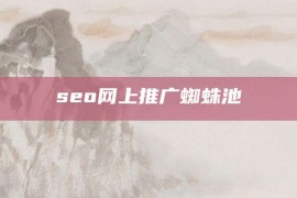 seo网上推广蜘蛛池