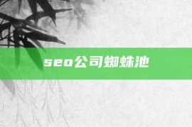 seo公司蜘蛛池