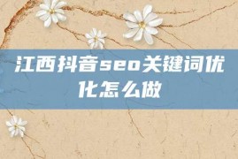 江西抖音seo关键词优化怎么做