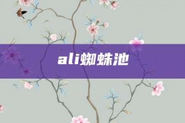 ali蜘蛛池