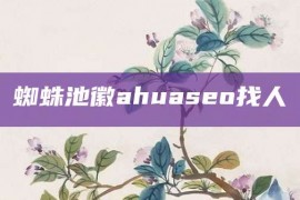 蜘蛛池徽ahuaseo找人