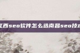 江西seo软件怎么选南昌seo技术