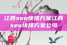 江西seo快排方案江西seo快排方案公司