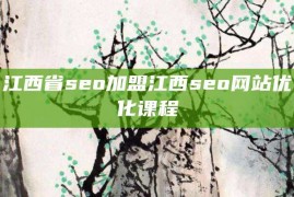 江西省seo加盟江西seo网站优化课程