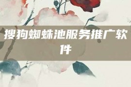 搜狗蜘蛛池服务推广软件