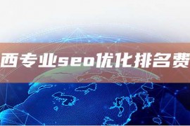 江西专业seo优化排名费用