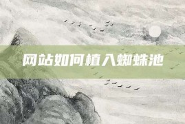 网站如何植入蜘蛛池