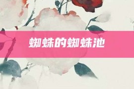 蜘蛛的蜘蛛池