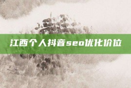 江西个人抖音seo优化价位