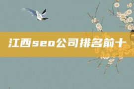 江西seo公司排名前十