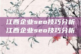 江西企业seo技巧分析江西企业seo技巧分析