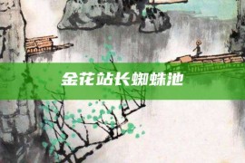 金花站长蜘蛛池