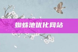 蜘蛛池优化网站