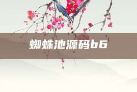 蜘蛛池源码b6