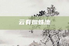 云有蜘蛛池