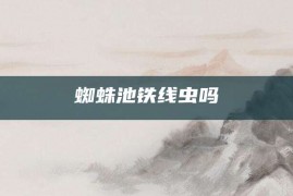 蜘蛛池铁线虫吗