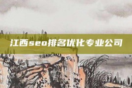 江西seo排名优化专业公司