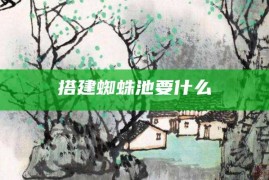 搭建蜘蛛池要什么