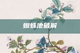 蜘蛛池破解