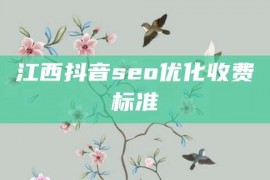 江西抖音seo优化收费标准