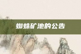 蜘蛛矿池的公告