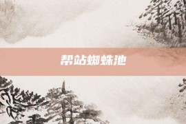 帮站蜘蛛池