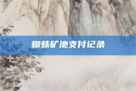 蜘蛛矿池支付记录