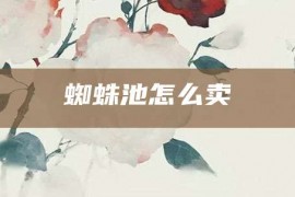 蜘蛛池怎么卖